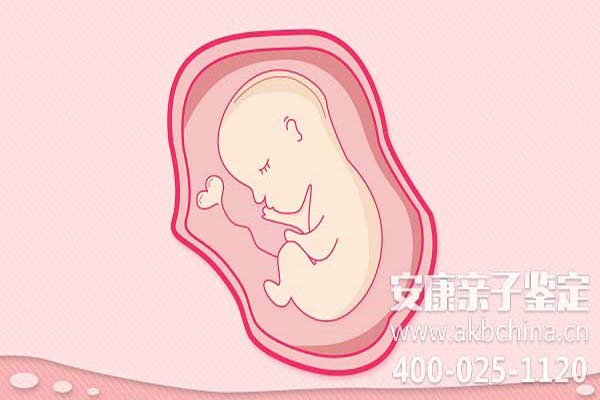成都怀孕期间做亲子鉴定吗,怀孕如何做亲子鉴定吗 